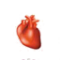 اطباء قلب و اوعية دموية